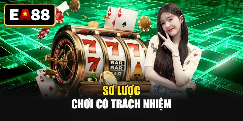 Sơ lược chơi có trách nhiệm