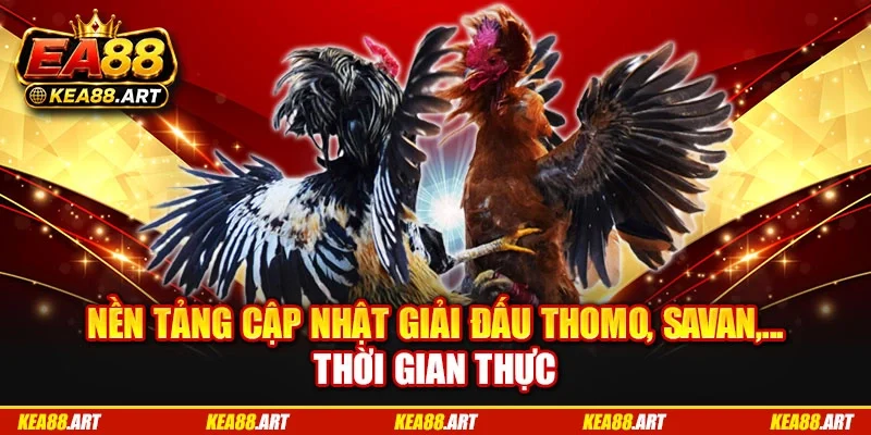 Nền tảng cập nhật giải đấu Thomo, Savan,... thời gian thực