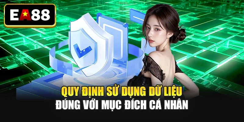 Quy định sử dụng dữ liệu đúng với mục đích cá nhân Quy định sử dụng dữ liệu đúng với mục đích cá nhân