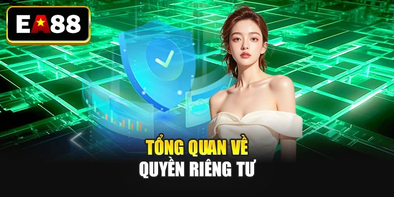 Tổng quan về quyền riêng tư Tổng quan về quyền riêng tư
