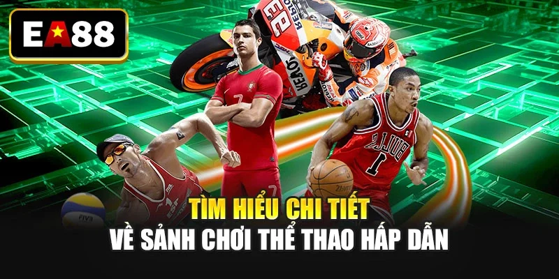 Tìm hiểu chi tiết về sảnh chơi thể thao hấp dẫn Tìm hiểu chi tiết về sảnh chơi thể thao hấp dẫn