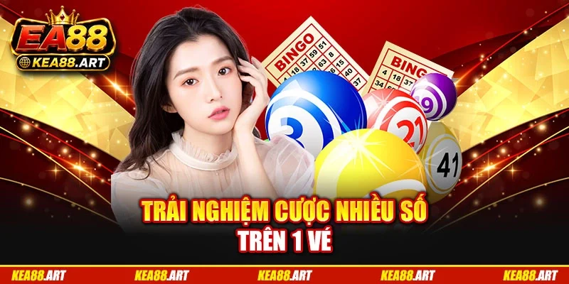 Trải nghiệm cược nhiều số trên 1 vé Trải nghiệm cược nhiều số trên 1 vé